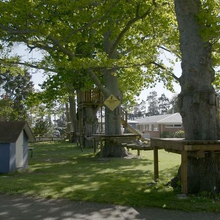 Te Aroha Holiday Park And Motels Eksteriør bilde