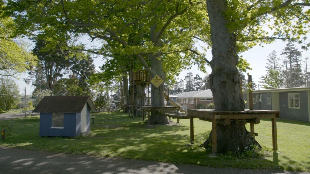 Te Aroha Holiday Park And Motels Eksteriør bilde