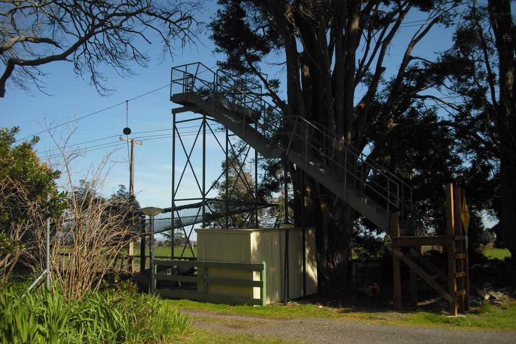 Te Aroha Holiday Park And Motels Eksteriør bilde